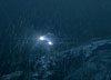 oceanicruler59 аватар